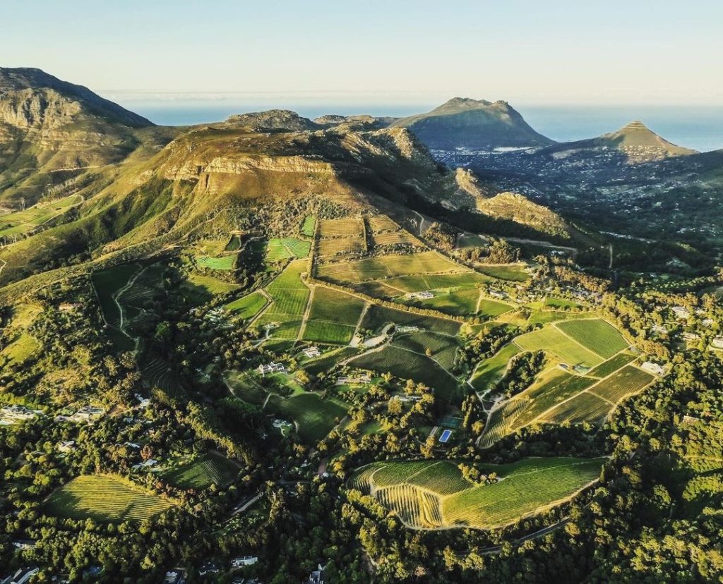 Constantia Glen