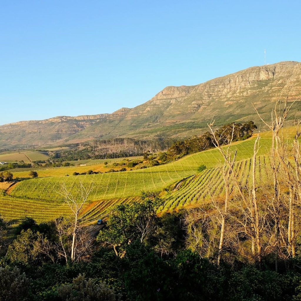 Groot Constantia Wine Farm