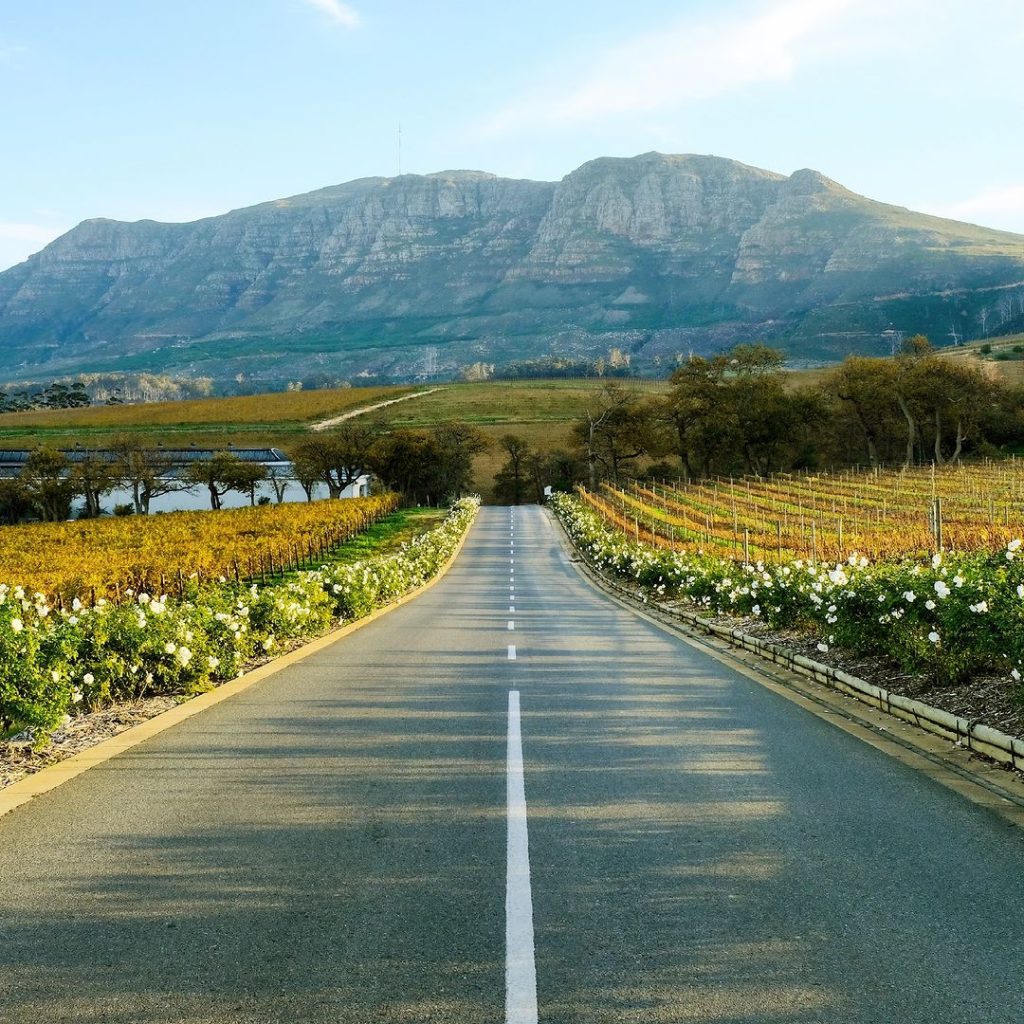 Groot Constantia Wine Farm