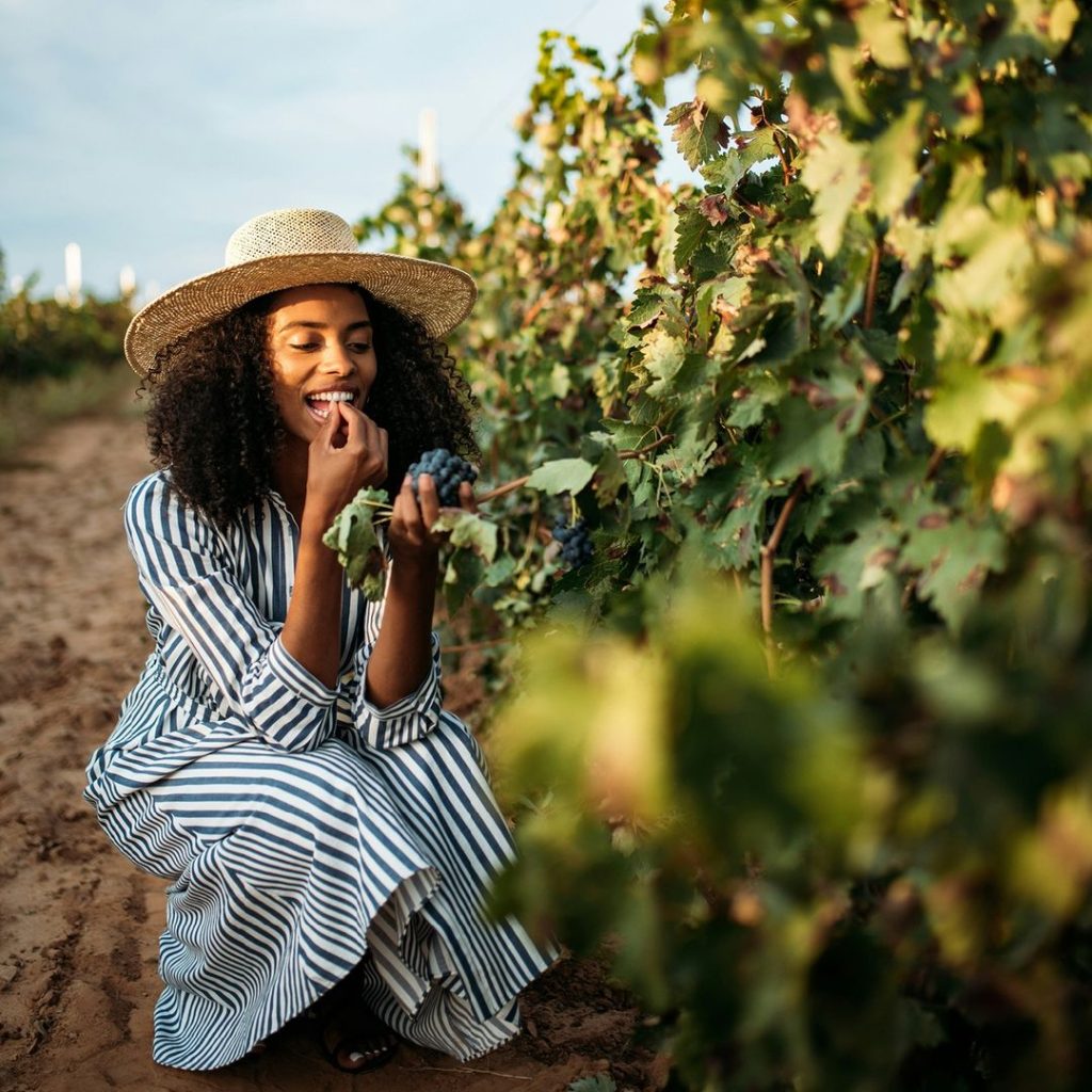 Groot Constantia Wine Farm