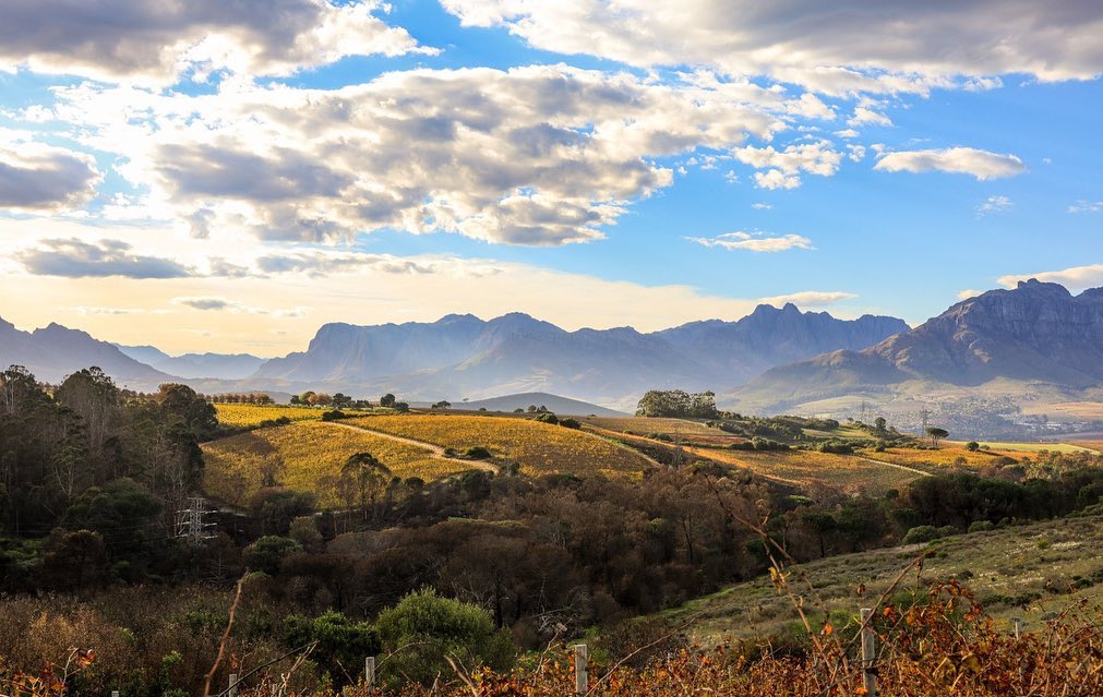 Neethlingshof Estate