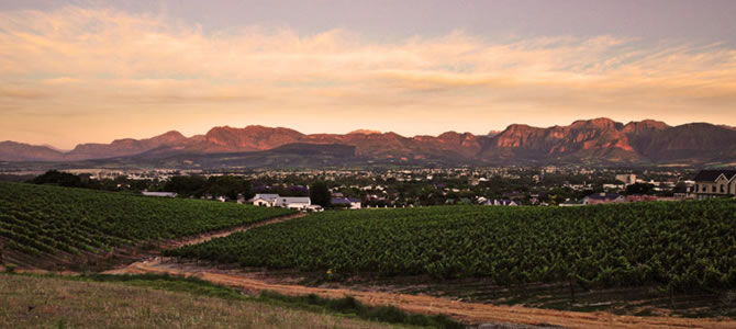 Le Jouubert Wine Estate