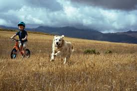 Stettyn Family Vineyards