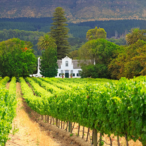 Klein Parys Vineyards