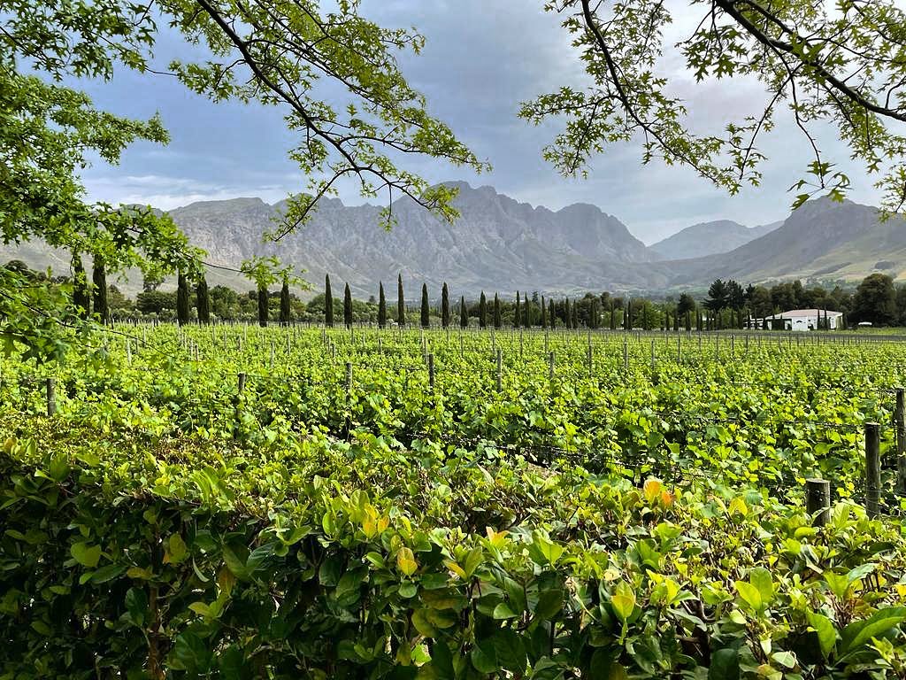 La Motte Wine Estate