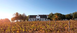 Swartland Winery