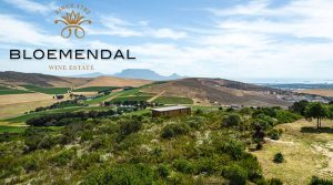 Bloemendal Wine Estate