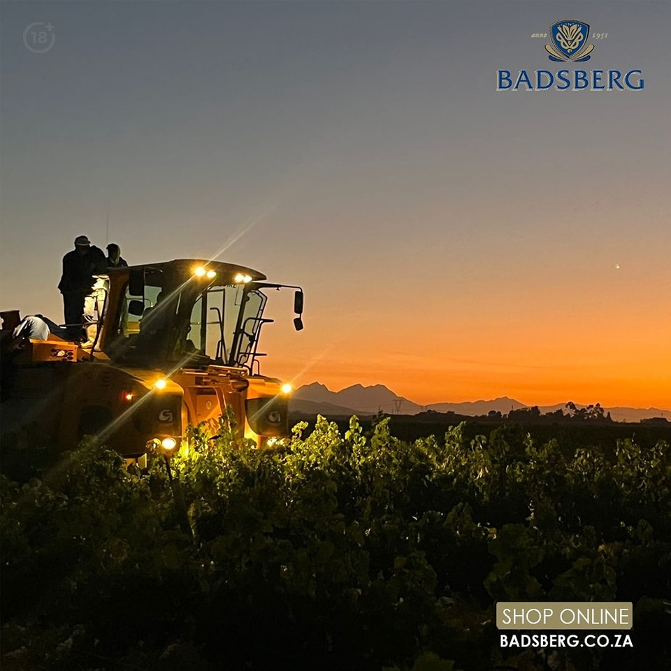 Badsberg Cellar