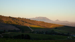 Kaapzicht Wine Estate