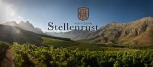 Stellenrust Wine estate