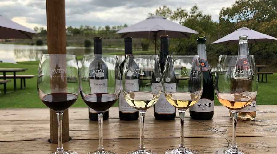 L’Avenir Wine Estate