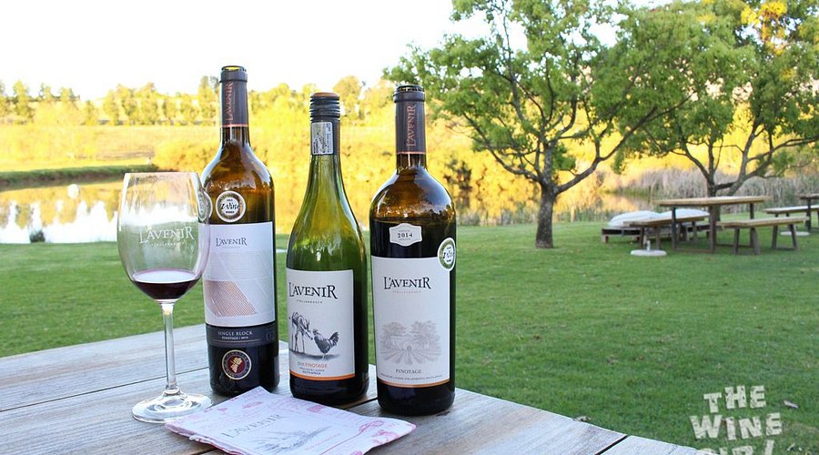 L’Avenir Wine Estate