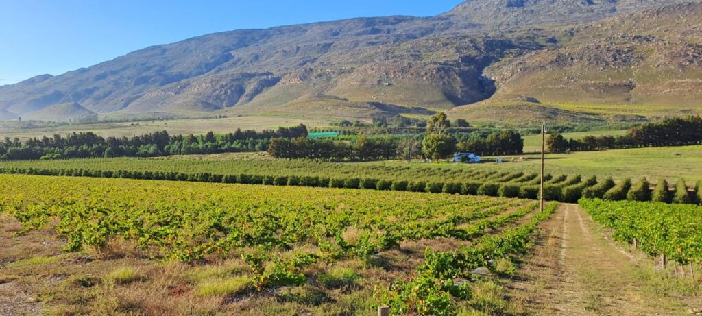 Joubert Tradauw Wine Farm