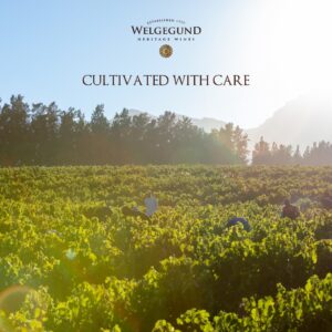 Welgegund Wine