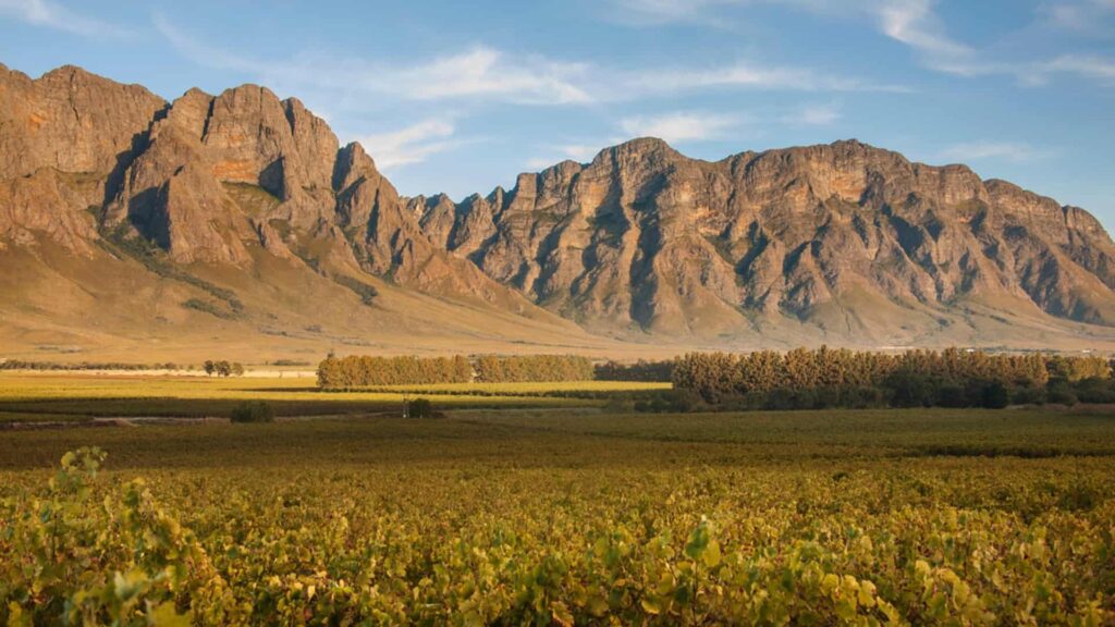 Opstal – Wine Estate