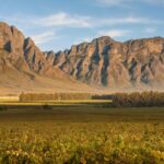 Opstal – Wine Estate